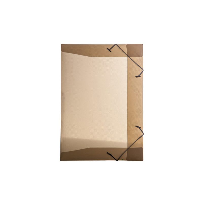 pasta-com-elastico-1-2-oficio-fume-dello-025i