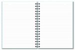 caderno-colegial-gatos-96f-175x235mm-fina-ideia