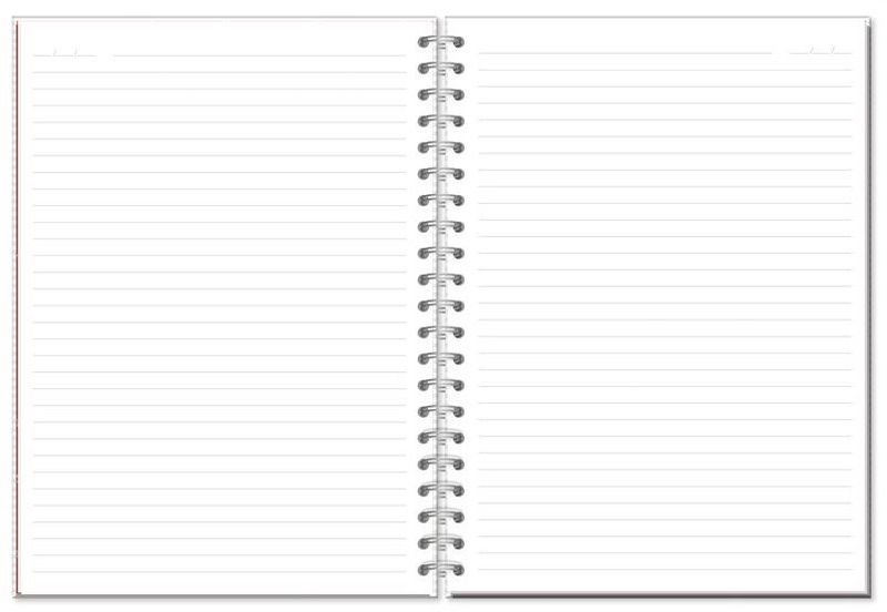 caderno-universitario-frases-coloridas-96f-200x275mm-fina-ideia--