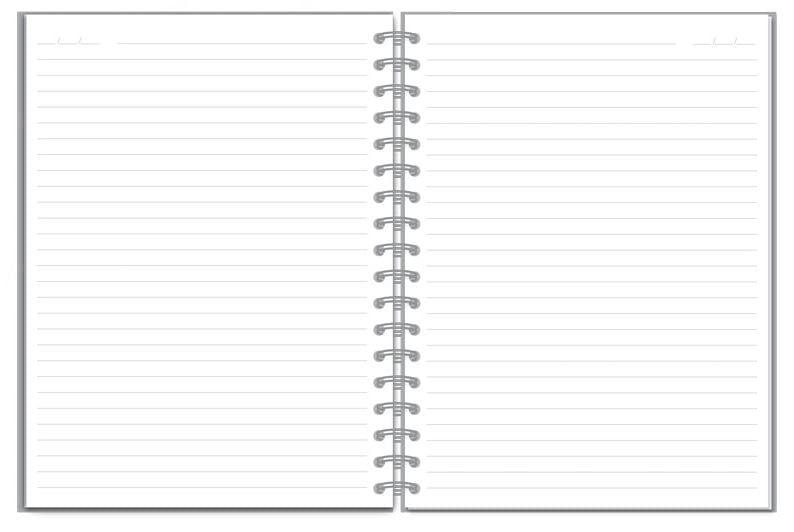 caderno-universitário-coraçõesholográficos-96f-200x275mm-fina-ideia