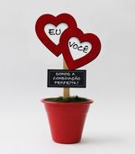 mini-vaso-eu-e-voce-fina-ideia