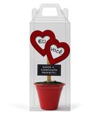 mini-vaso-eu-e-voce-fina-ideia