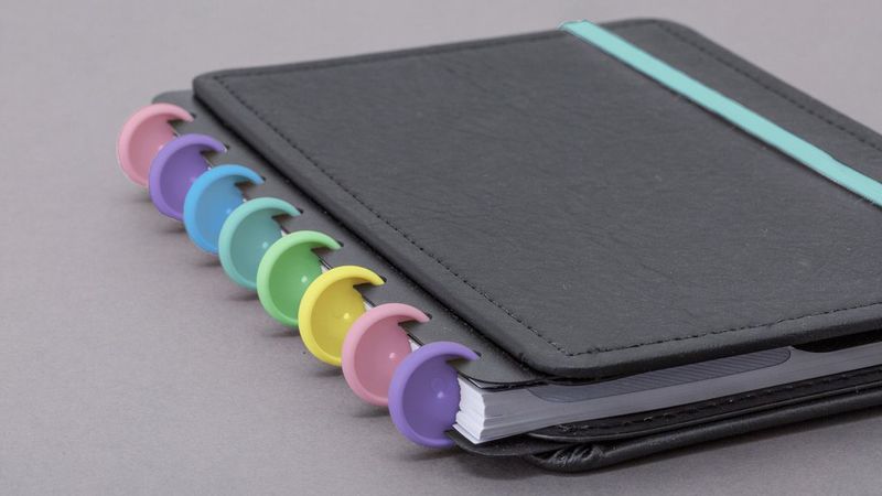 discos---elastico-g-caderno-inteligente-diversidade-brasileira