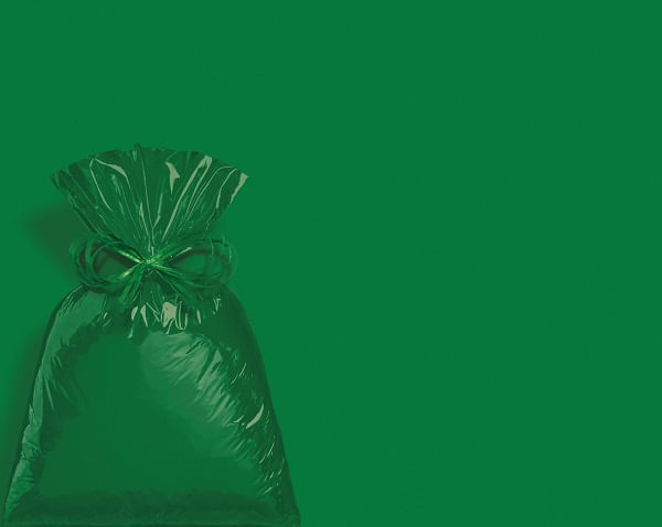 saco-para-presente-metalizado-20x29cm-c-50un-verde-cromus