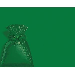 Saco Para Presente Metalizado 30x44cm C/50un Verde Escuro Cromus