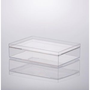 Organizador Multiuso C/ Tampa Empilhável 25x17x6,7cm Paramount