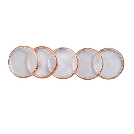 discos---elastico-g-caderno-inteligente-rose-gold