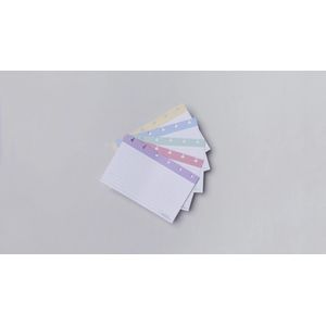Fichas Pautadas Inteligentes 4x6 50F