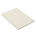 refil-caderno-criativo-argolado-sem-pauta-40fls-80g-17x24cm-creme-cicero