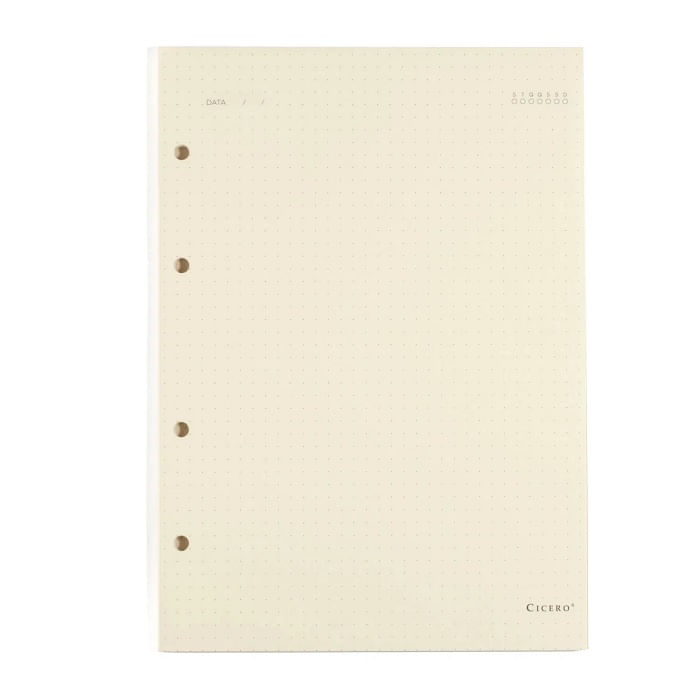 refil-caderno-criativo-argolado-pontado-40fls-90g-17x24cm-creme-cicero-