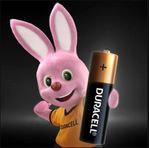 pilhas-alcalinas-duracell-aa-pequena-4-unidades