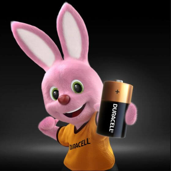 pilhas-alcalinas-duracell-c-media-2-unidades