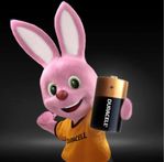 pilhas-alcalinas-duracell-d-grande-2-unidades