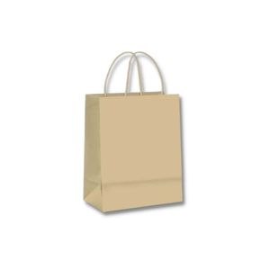 Sacola Para Presente Kraft M 33x10,5x24cm Zagarollo
