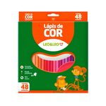 lapis-de-cor-resina-sextavado-48-cores-leo-leo