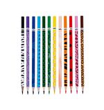lapis-de-cor-animal-planet-12-cores-molin