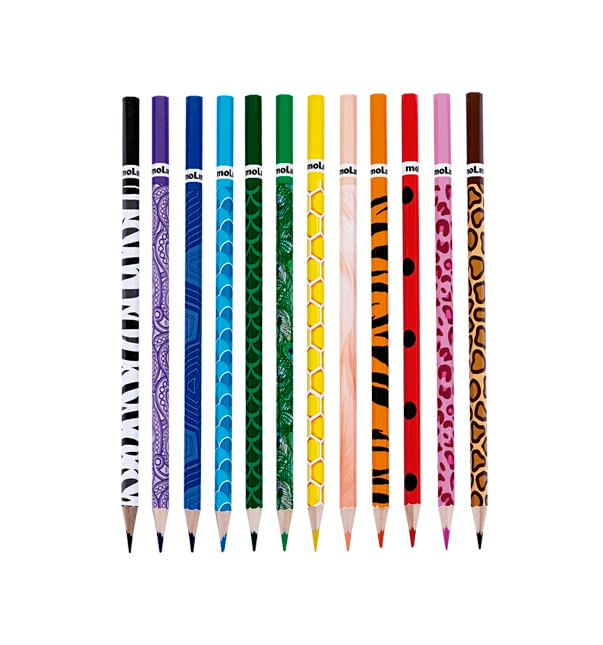 lapis-de-cor-animal-planet-12-cores-molin