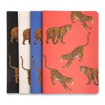 kit-de-revistas-notas-mix-oncas-14x21cm-cicero-