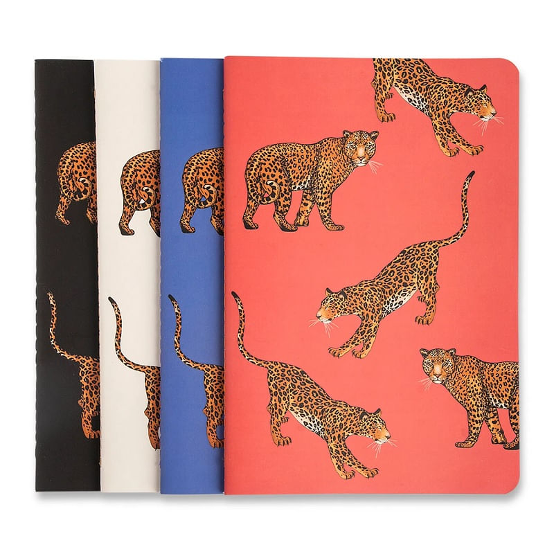 kit-de-revistas-notas-mix-oncas-14x21cm-cicero-