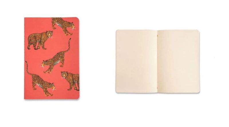 kit-de-revistas-notas-mix-oncas-14x21cm-cicero-