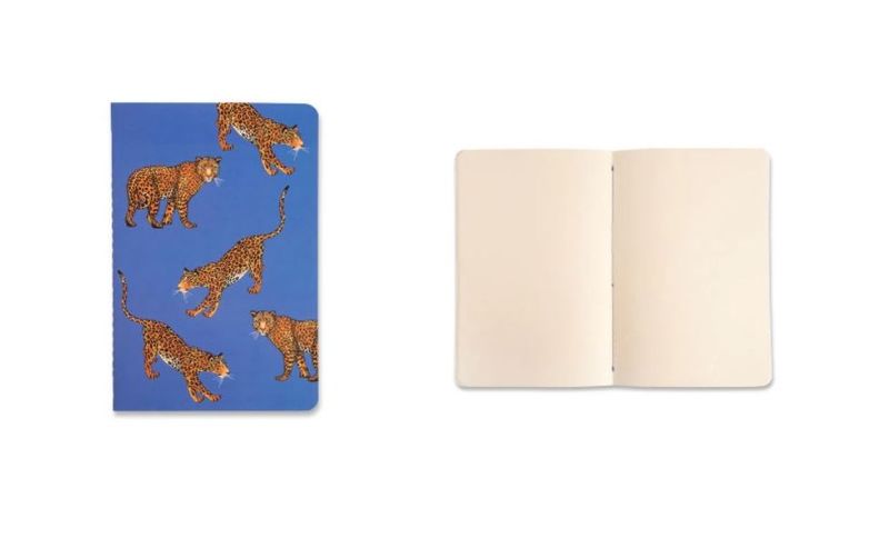 kit-de-revistas-notas-mix-oncas-14x21cm-cicero-