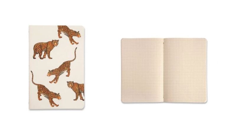 kit-de-revistas-notas-mix-oncas-14x21cm-cicero-