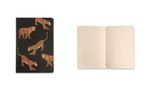 kit-de-revistas-notas-mix-oncas-14x21cm-cicero-