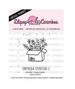 cartela-de-carimbos-mini-entrega-especial-2un-lilipop-