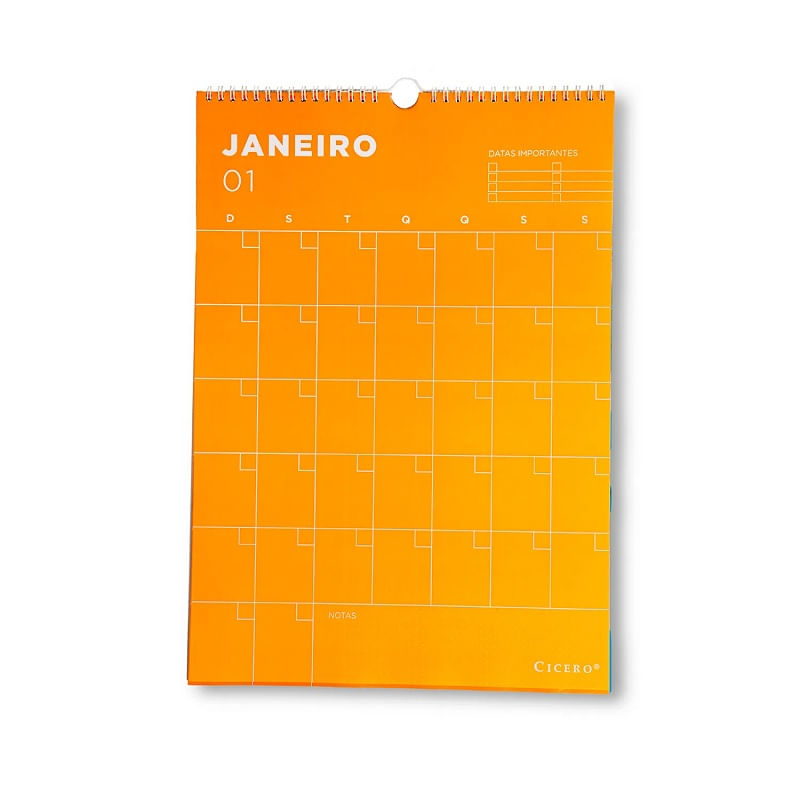 planner-permanente-calendario-de-parede-permanente-policromia-297x42cm-cicero