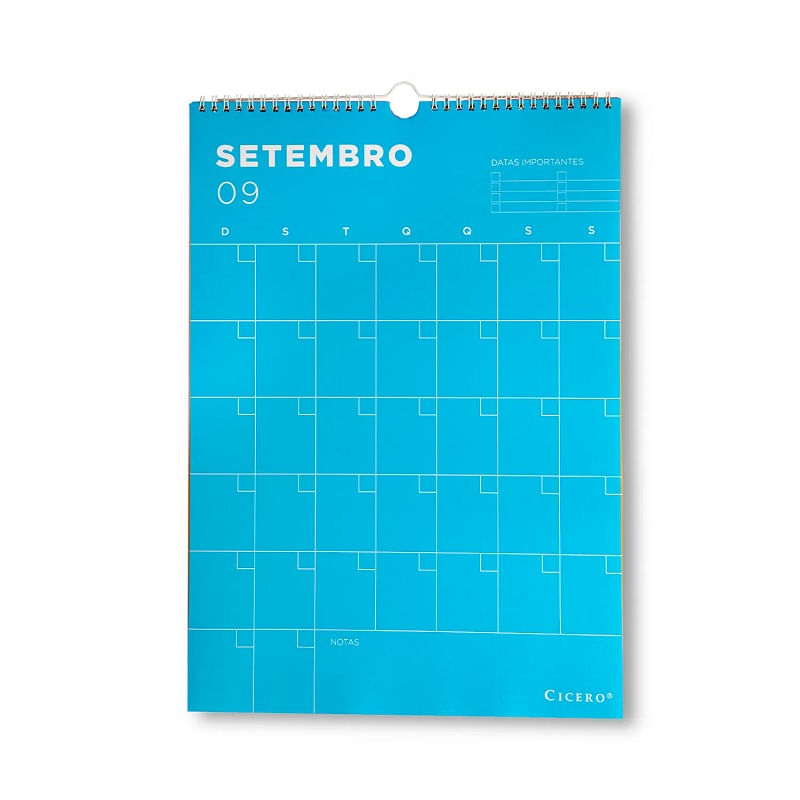 planner-permanente-calendario-de-parede-permanente-policromia-297x42cm-cicero