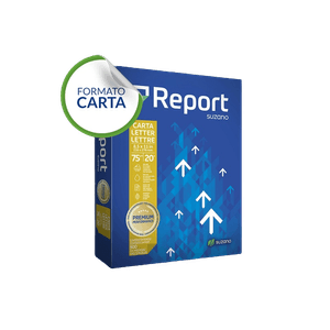 Papel Sulfite Carta 216x279mm 75g/M² Com 500 Folhas Branco Report