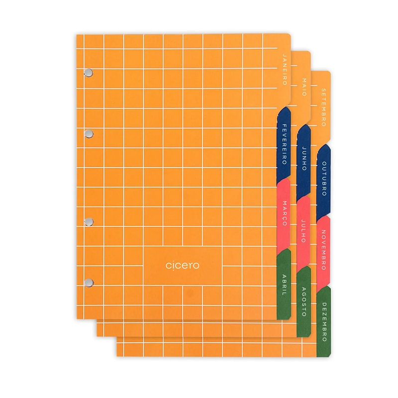 refil-planner-permanente-semanal-notas-a5-c-divisorias-99f-polen-80g-cicero