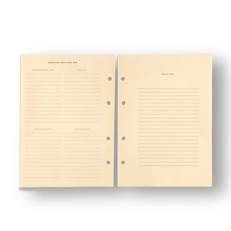 refil-planner-permanente-semanal-notas-a5-c-divisorias-99f-polen-80g-cicero