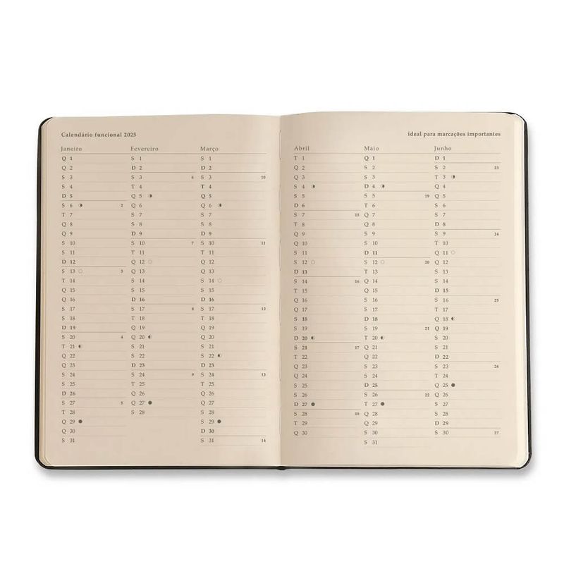agenda-planner-diaria-2025-14x21cm-kraft-flores-max-cicero
