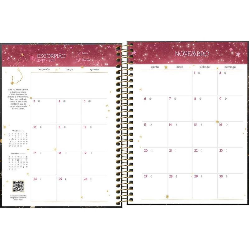 planner-espiral-2025-177x24cm-magic-tilibra
