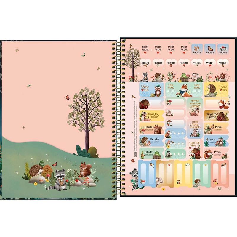 caderno-espiral-c-d-universitario-1-materia-loveland-80f-tilibra