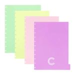 divisorias-pastel-medio-caderno-inteligente-cidm3003