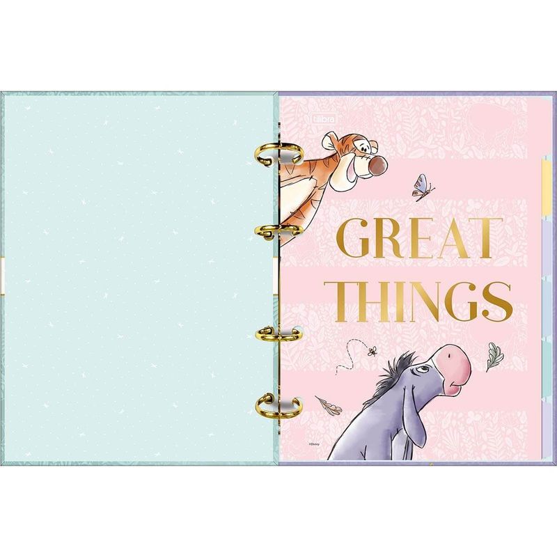 caderno-argolado-cartonado-colegial-pooh-80f-tilibra-2--1-.jpg