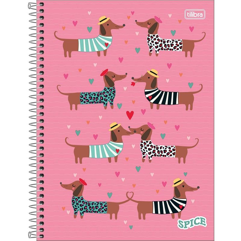 caderno-espiral-capa-dura-universitario-10-materias-spice-feminino-160-folhas_349151-e1--1-.jpg