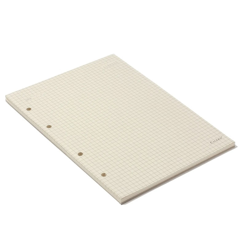 refil-caderno-argolado-40f-polen-80g-17x24cm-quadriculado-cicero-3.jpg