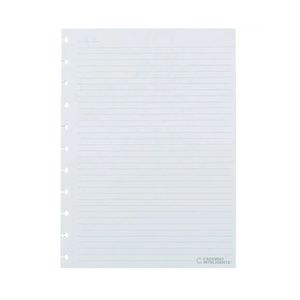 Refil Pautado 120g 30f Caderno Inteligente CIRG4004