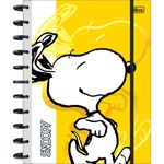 caderno-tilidisco-universitario-connect-10-materias-snoopy-160-folhas_347353-e1