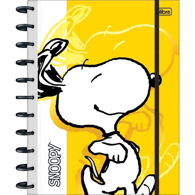 caderno-tilidisco-universitario-connect-10-materias-snoopy-160-folhas_347353-e1