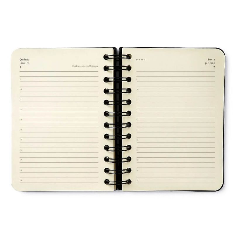 agenda-planner-diaria-2026-11,5x16cm-wire-o-praia-cachorros-cicero 2 -1-