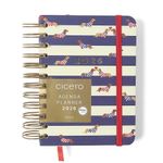 agenda-planner-diaria-2026-11,5x16cm-wire-o-praia-cachorros-cicero 10 -1-