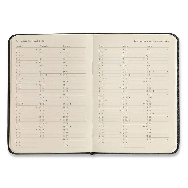 agenda-planner-semanal-2026-9x13cm-praia-cachorros-cicero-3--1-