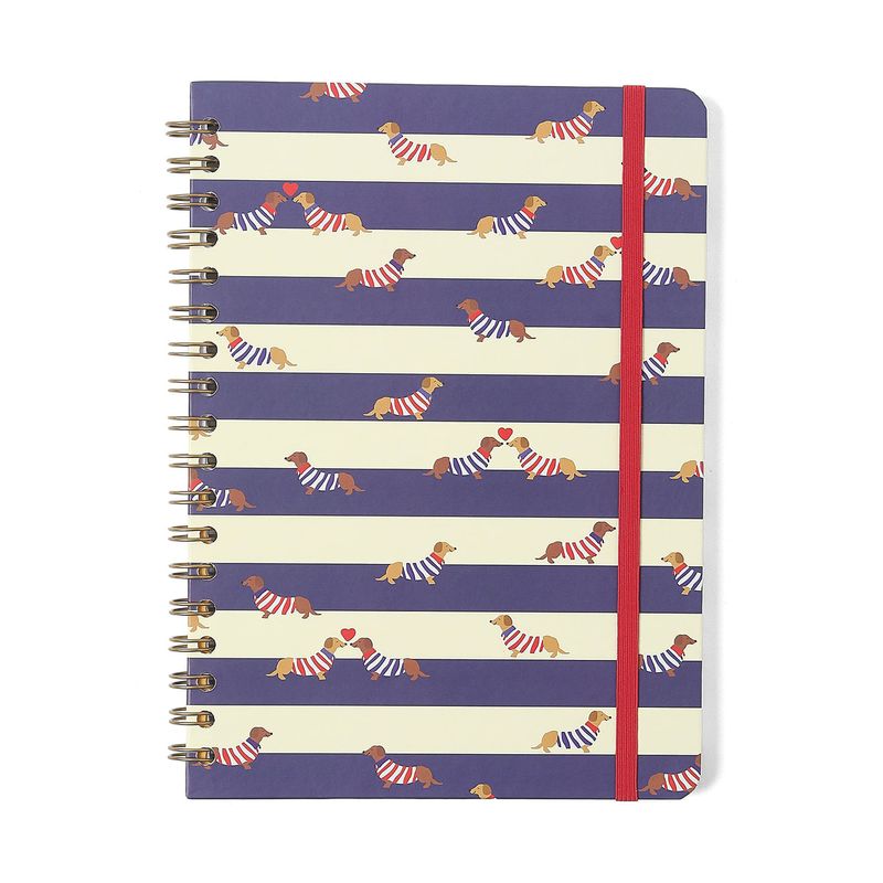 Caderno Espiral Pautado 17x24cm 1 Matéria 80F Praia Cachorros Cicero-1758031044568