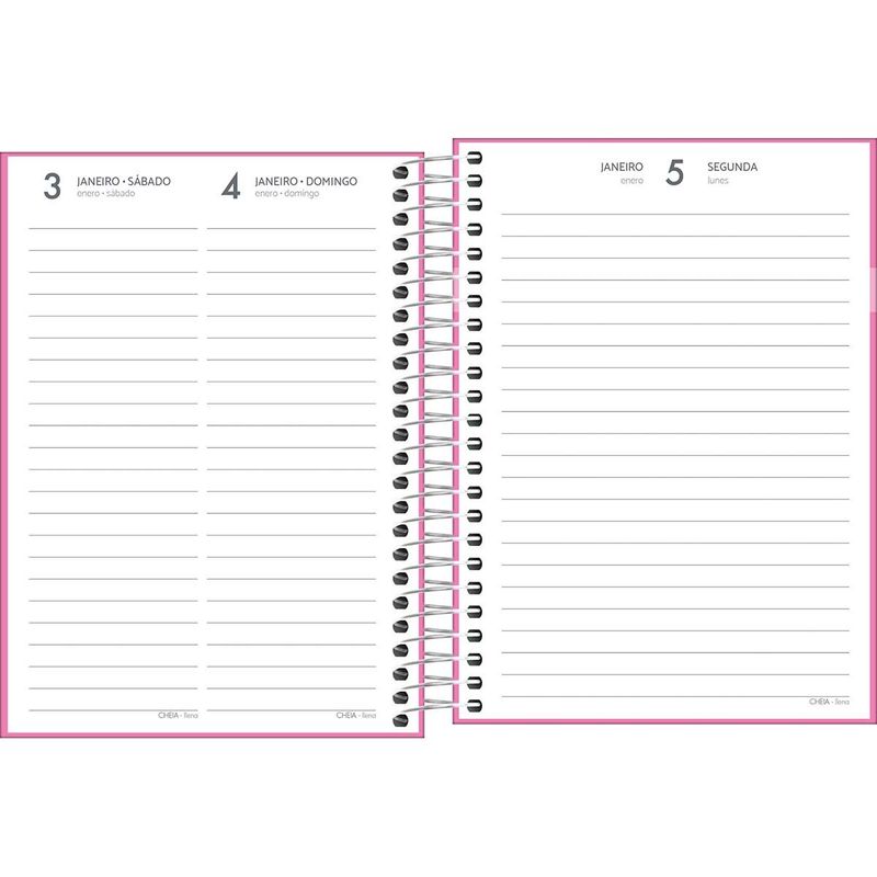 Agenda Espiral Diária 2026 11,7x16,4cm 176F D+ Feminina Tilibra-1759249422444
