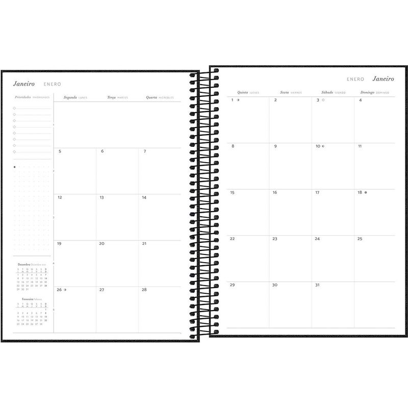 Agenda Executiva Espiral Diária 2026 20x27,5cm Cambridge Tilibra-1759258989617