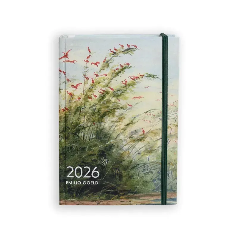 Agenda 2026 Emilio Goeldi Semanal Mesa Guarás Teca-1765981349406
